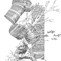 Don Art_screenview_1500dpi (39)_sm